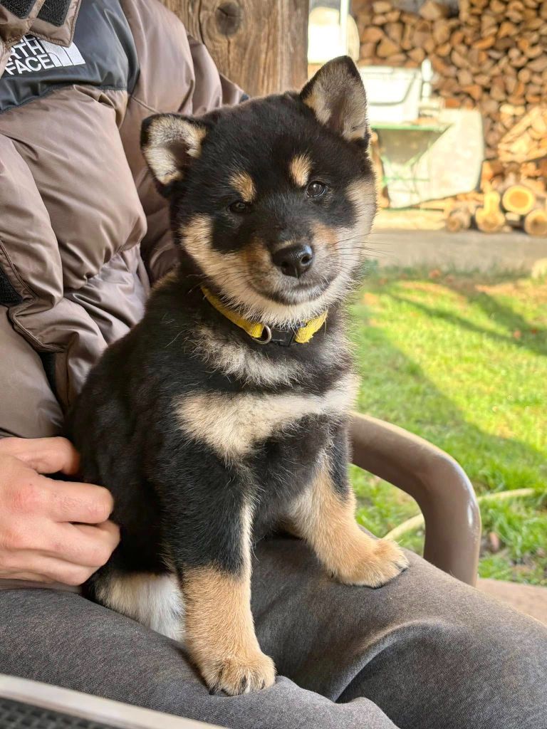 Vvaka hana mizumi Domaine Des Sept Loups
