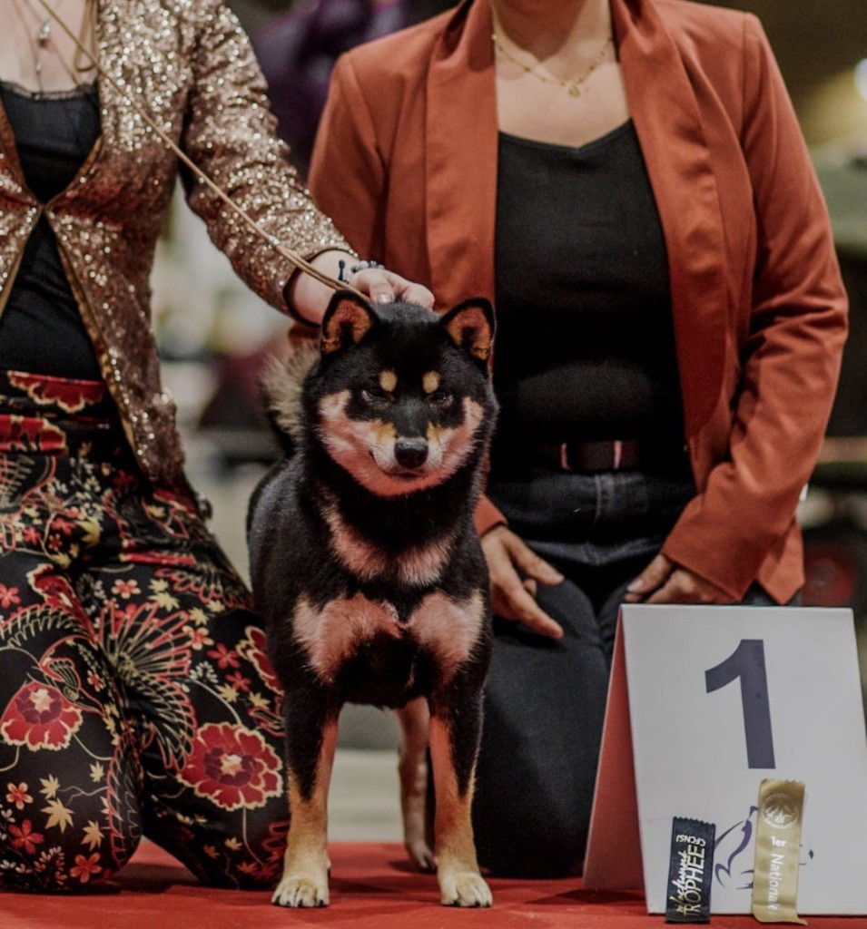 Vvaka hana mizumi Domaine Des Sept Loups