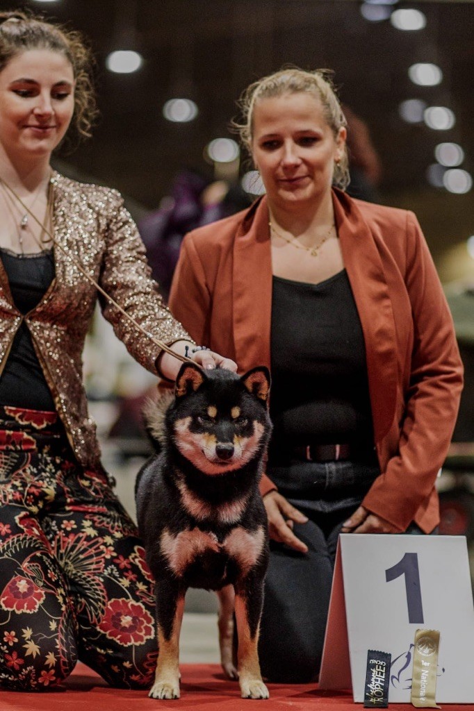 Retour sur la Nationale d élevage 2025